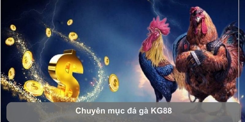 Chuyên mục đá gà KG88