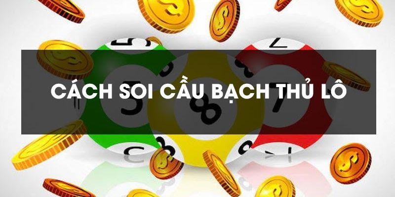 Bạch thủ lô là gì - ảnh minh họa